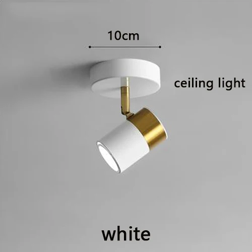 Ceiling light-white