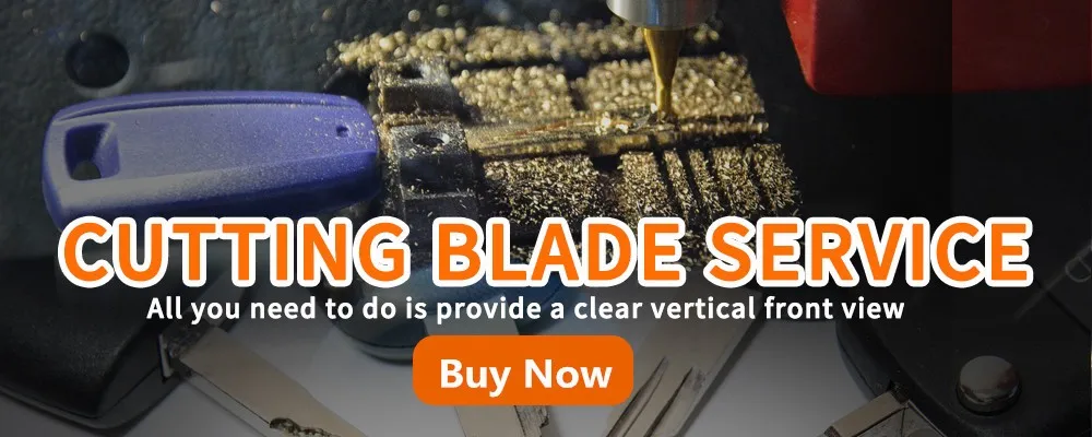 HTB1bbpkbynrK1Rjy1Xcq6yeDVXaq