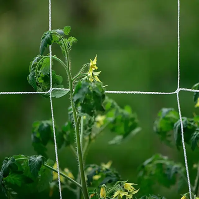 Csomagolt Nylonháló 9 Szálú Puha Nylon Háló Madárcsirke-Háló Védőkert Kerítés Növények O1R6 - Image 3