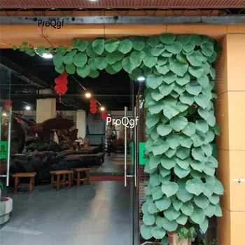 

Ngryise 2Pcs A Set Stephania cepharantha gerstroemi