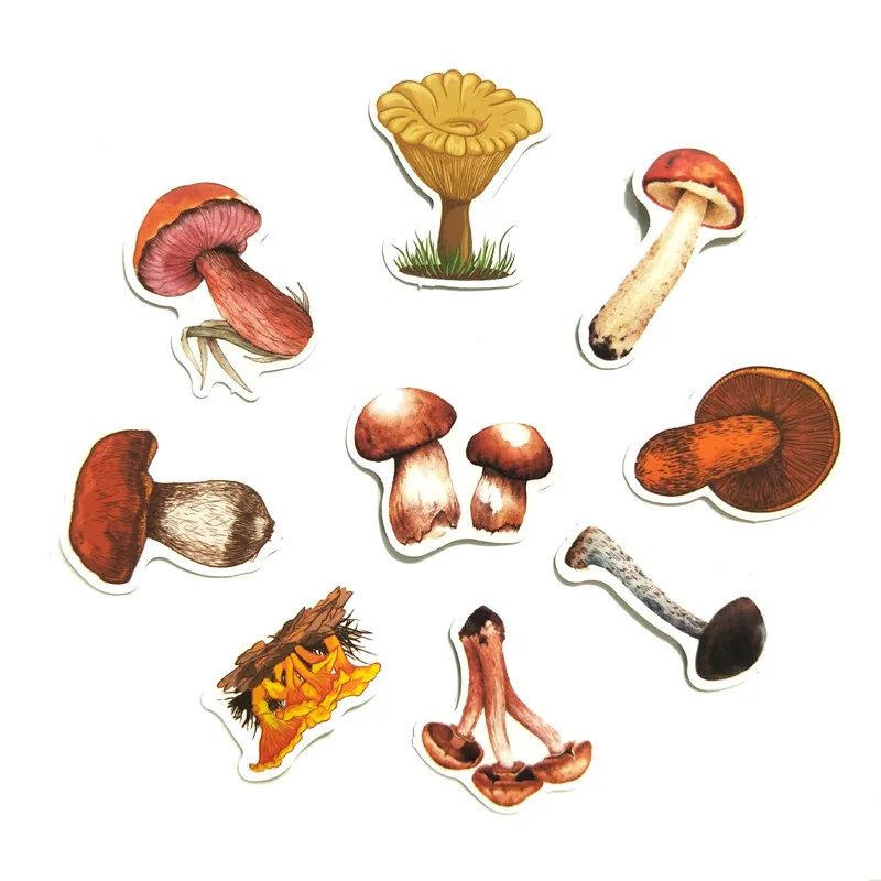 12801561268_413955102