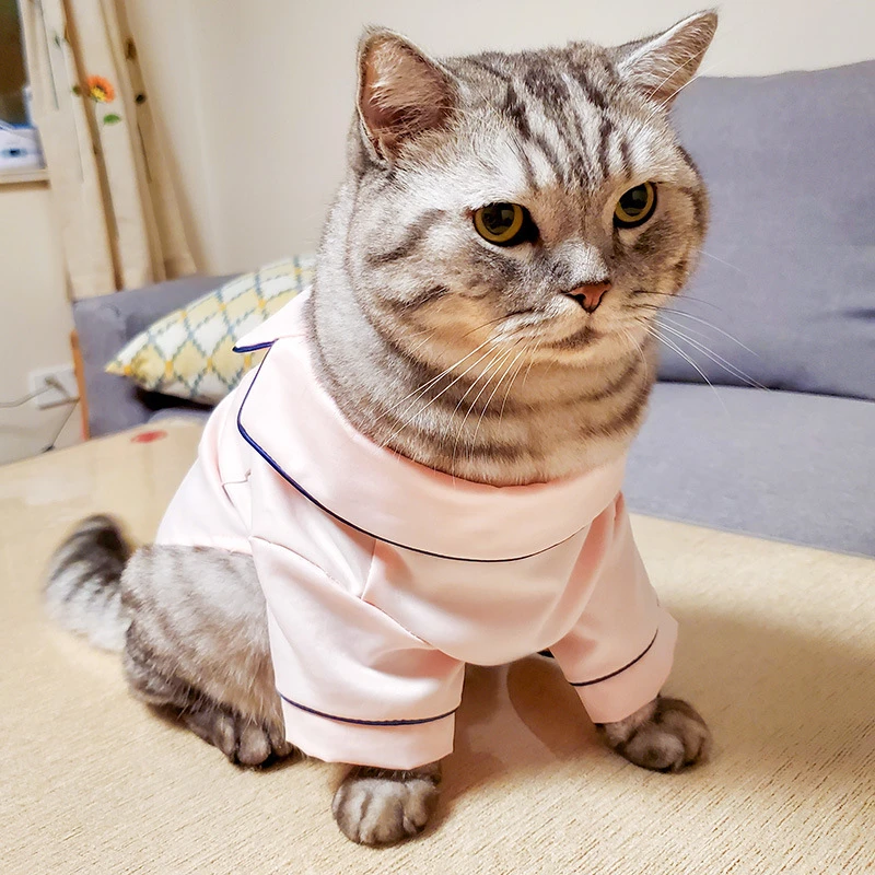 Chaqueta de dormir para gato, ropa de casa cómoda para todas las estaciones, para interiores, para mascotas pequeñas y gatos|Ropa para gatos| - AliExpress