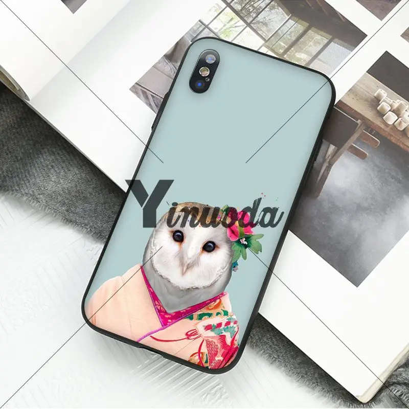 Animal portrait elephant owl tiger panther