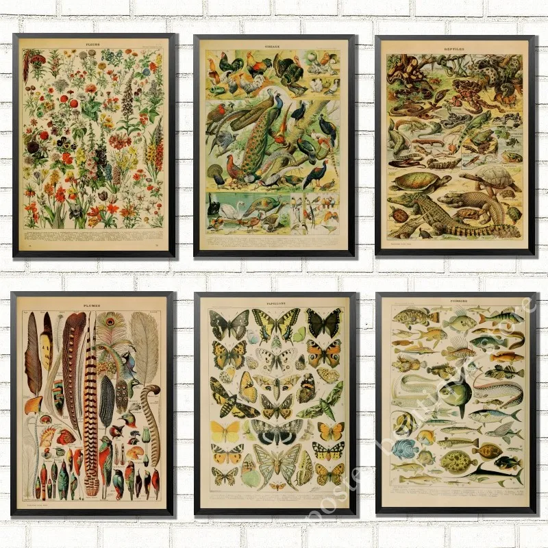 

Birds Dinosaur Vegetable Educational Identification Background Pattern Posters Wall Stickers For Living Room Home Decoration