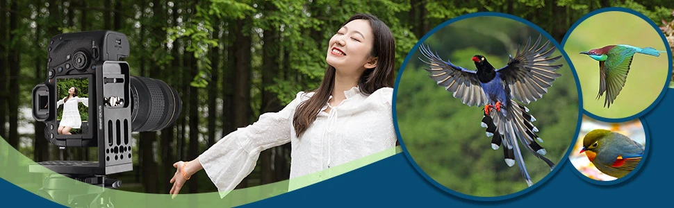 6fb9331f-0797-4012-966c-8ae34b0aa7f5.__CR0,0,970,300_PT0_SX970_V1___