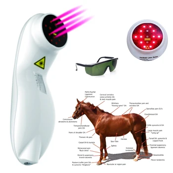 

Pain Relief Cold Laser Therapeutic Device LLLT Cold Laser Medical Laser Physiotherapy Device for Human and Animals+Laser Goggles