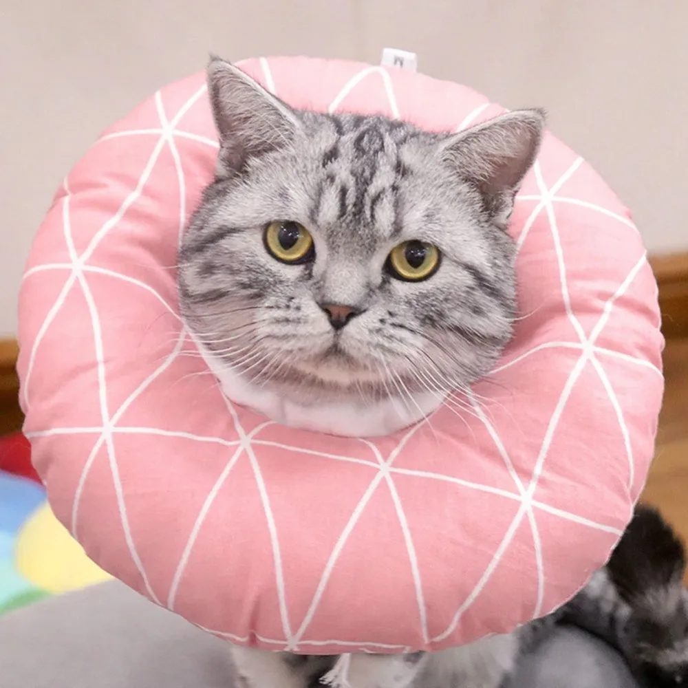 307641_no-logo_307641-2-03-g