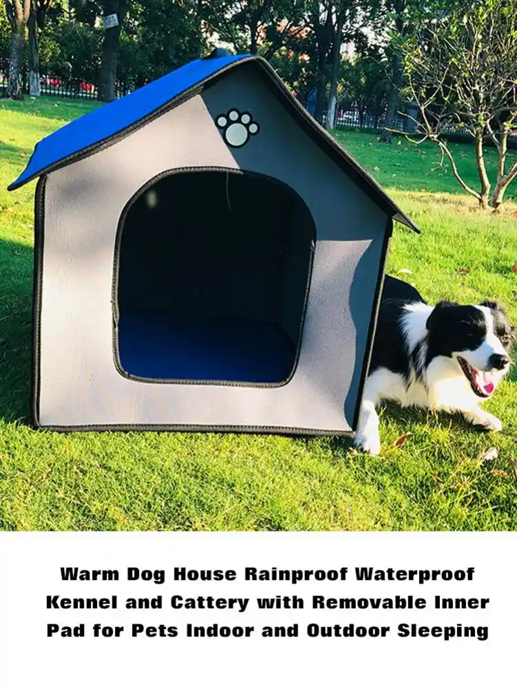 warm dog houses