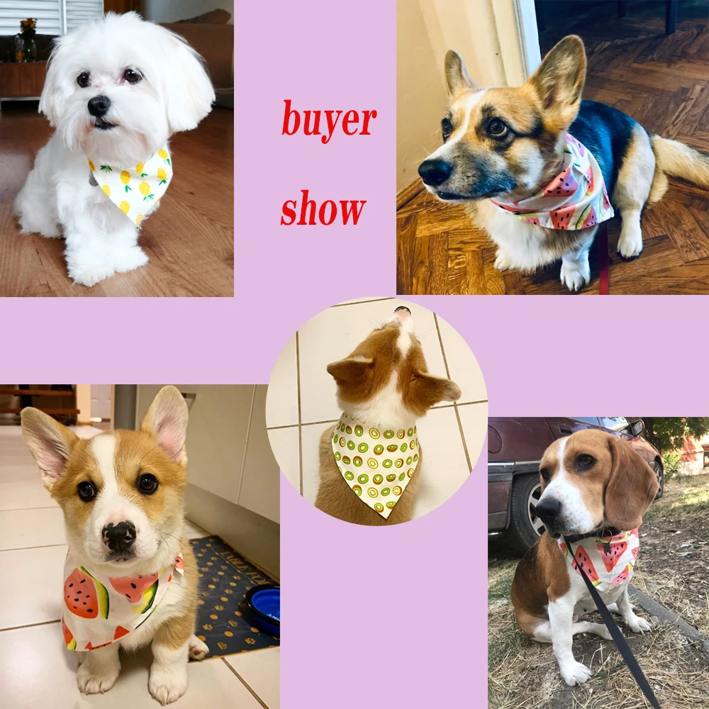 H552931195c2246f1bef5fe2f6acff9d5e.jpg?width=1000&height=1000&hash=2000