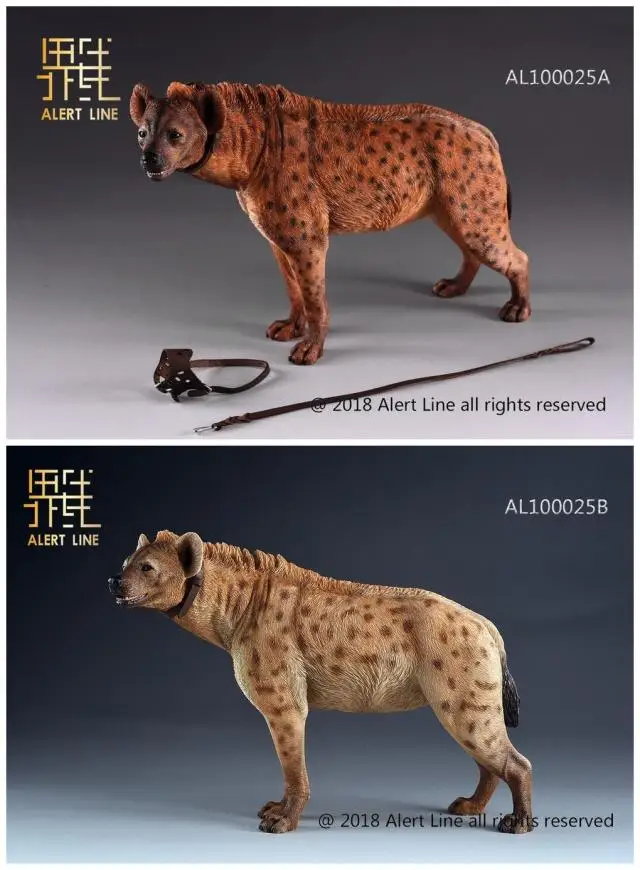 Сигнальная линия 1/6 пятнистая гиена AL100025 для 12 дюймов Action Ftigure Sence DIY - Цвет: A