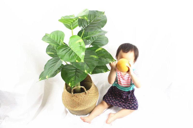 4419123904_945940454