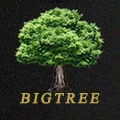 BIGTREE Women Shoes Store