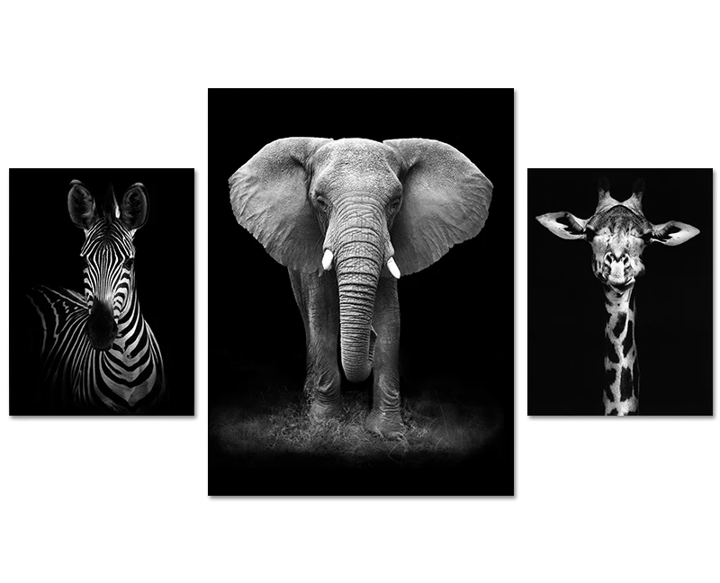 

three pcs elephant black and white africa animal Canvas Oil Printings Pictures for Living Room Office Work Bedroom Home Decor