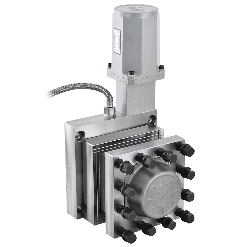 DSC_0041