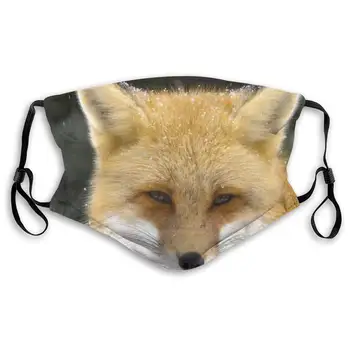 

Fox Protective Mask with Gasket Disposable Water Repellent Multilayer Filter Adult Sunscreen Large Mask S
