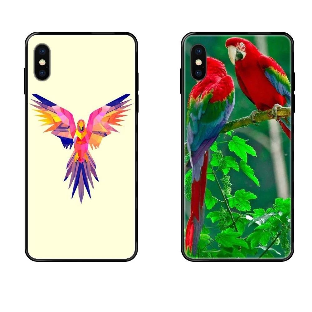 Черный мягкий ТПУ чехол для iPhone SE2020 11 12 Plus Pro X XS Max XR 8 7 6S SE 5 5C 5S прекрасный попугай
