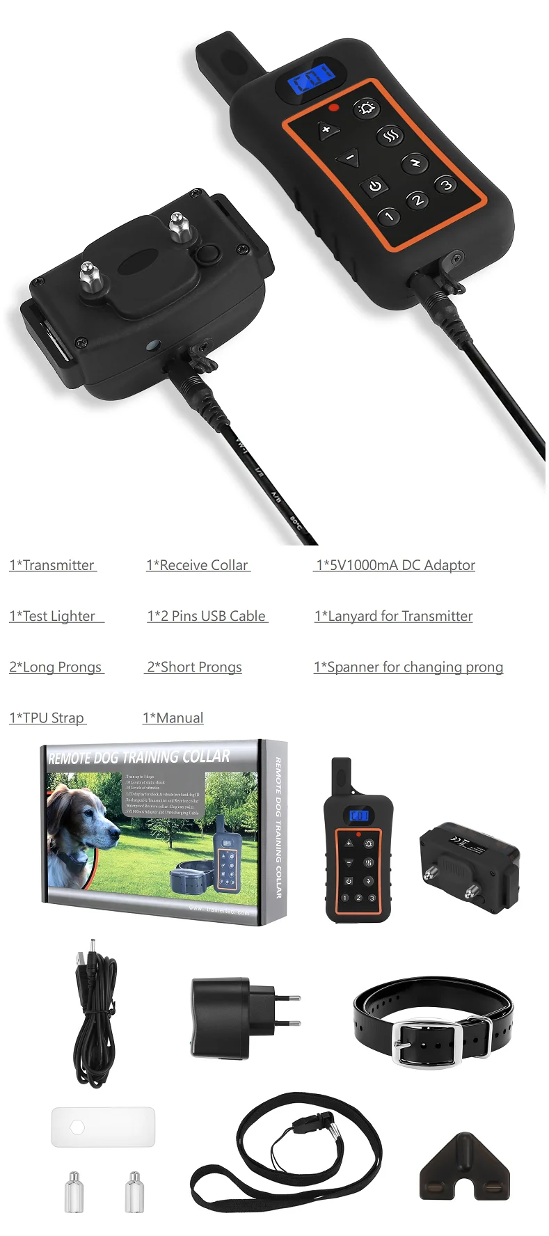 DT1200 Dog Training-4