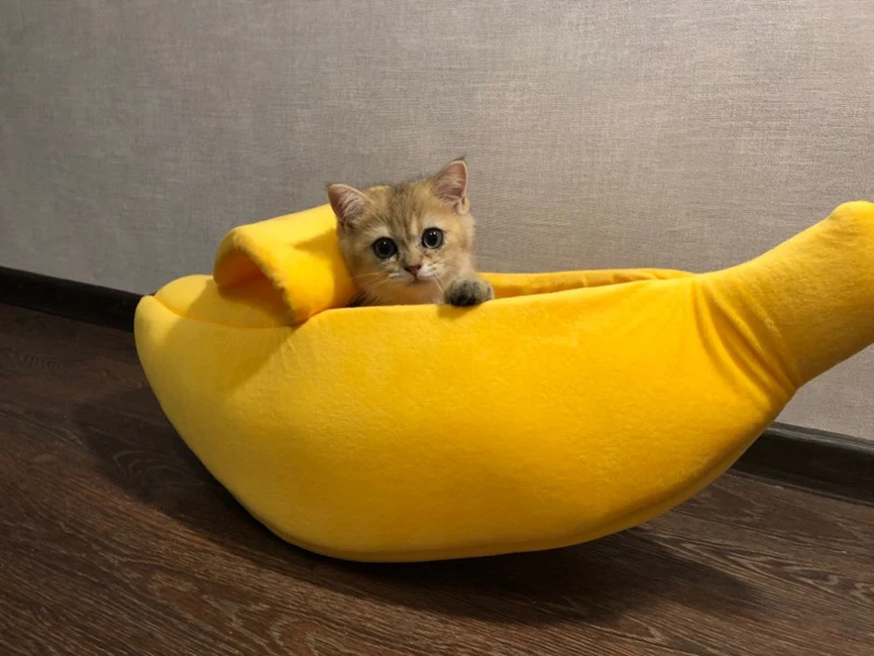 Banana Cat Bed House Cozy Cute Banana Puppy Cushion Kennel Warm Portable Pet Basket Supplies Mat Beds for Cats& Kittens