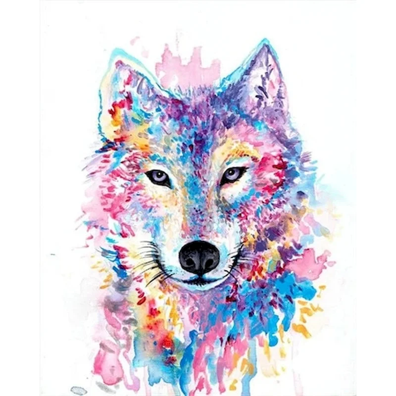 Color wolf. волк на цветном фоне. Color wolf. радужный волк. волки красивые разноцветные.