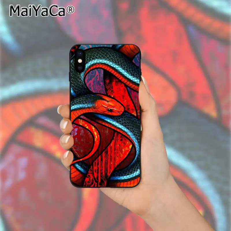 Coral snake animal