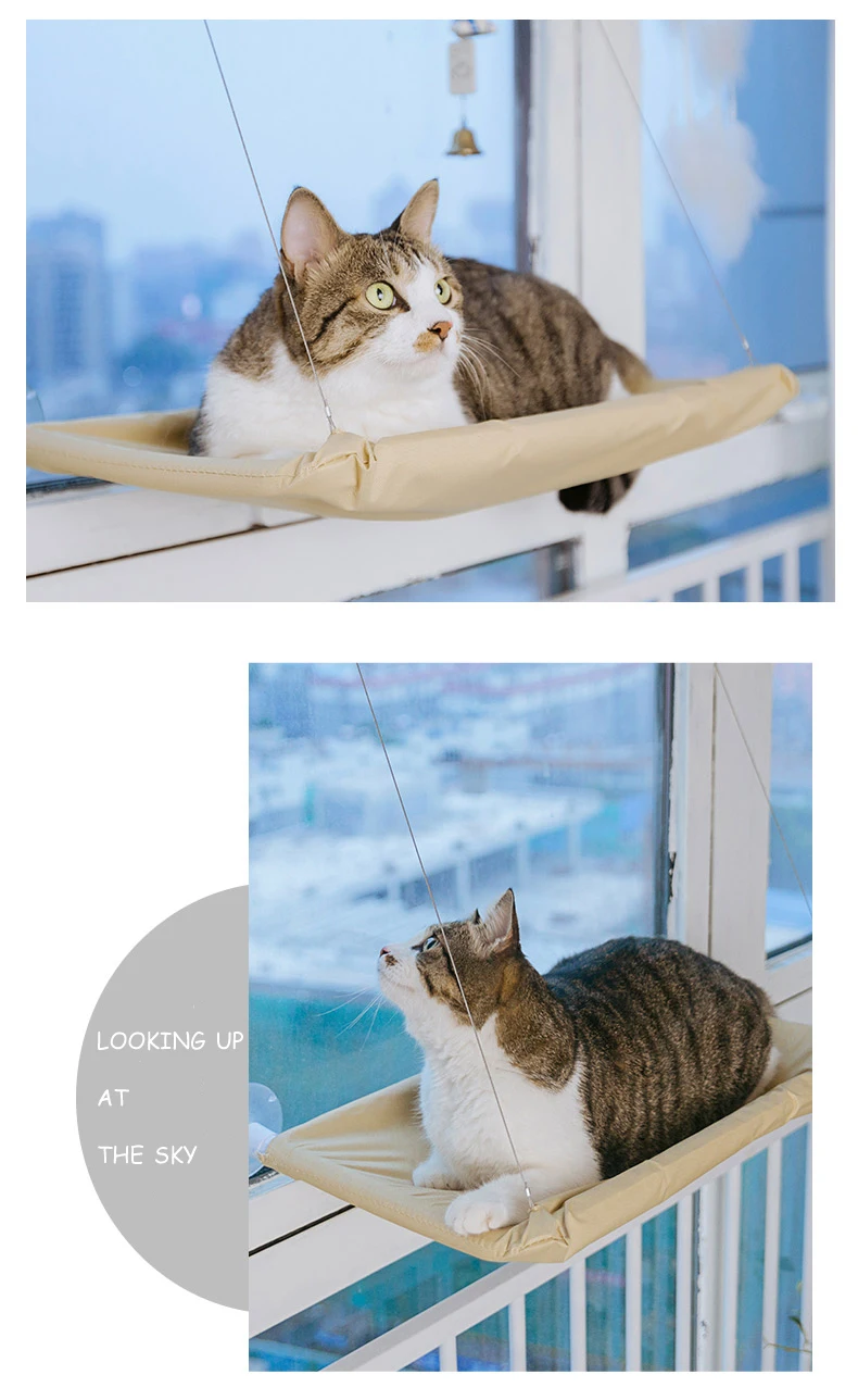 O1CN01qOLl2P1uM7f214a7q_!!1918356022