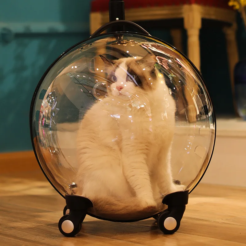 Sac De Transport Pour Chat Boite Cage Grand Chariot Sac De Transport Transparent Sac A Dos Pour Animaux De Compagnie Capsule Spatiale Cb001 Poussettes Aliexpress