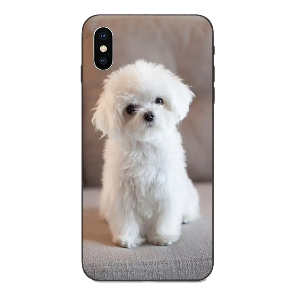 Белый Мальтийский щенки собака мода кожи тонкий кожаный чехол для Apple iPhone 4 4S 5 5S SE 6 6S 7 8 Plus X XS Max XR - Цвет: as picture