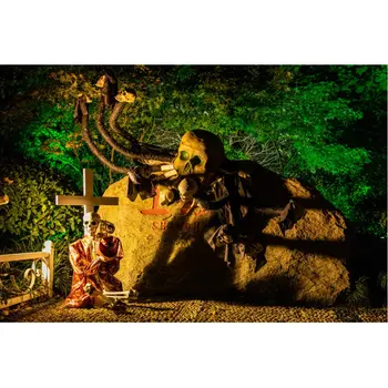 

Halloween Decor Backdrop Scary Skull Stone in the Wild Photography Background Family Party Decoration Photo Booth Studio Props