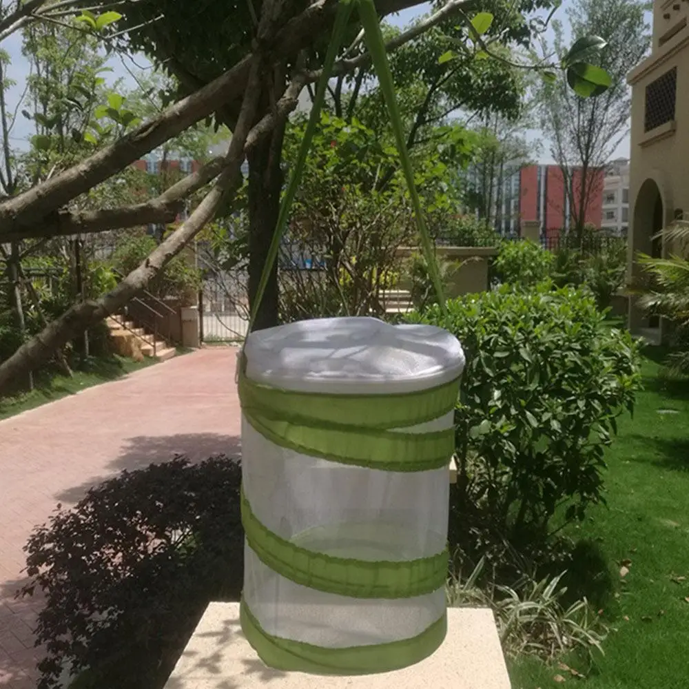 

Mesh Kids Extendable Insect 14*18cm Tool Camp Net Fish Green Cage Pop-Up Children'S Toys Outdoor Sport