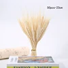 50pcs-23cm-Beige