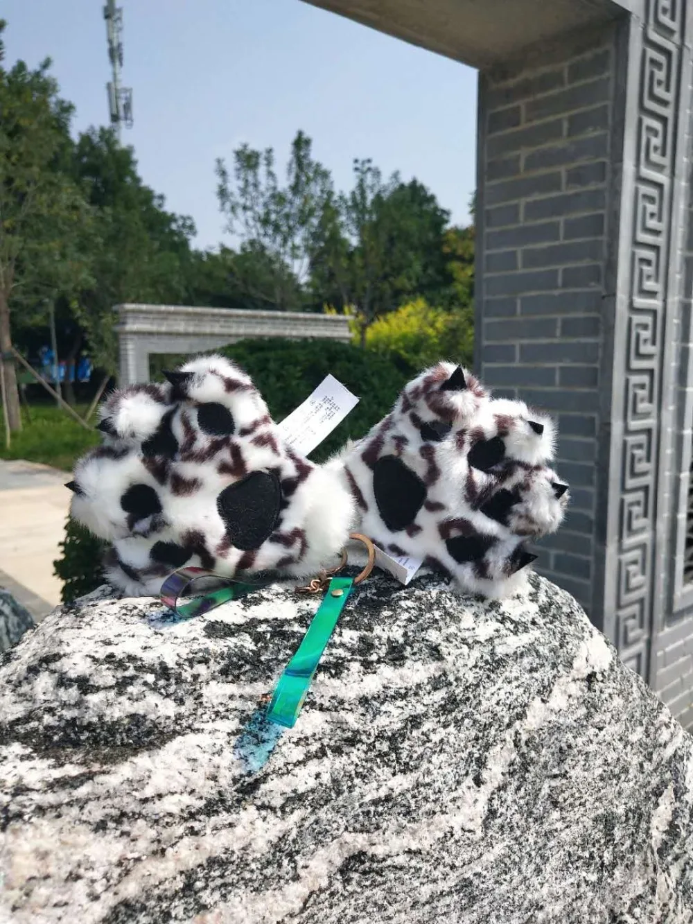 IMG_8556(20200828-151754)