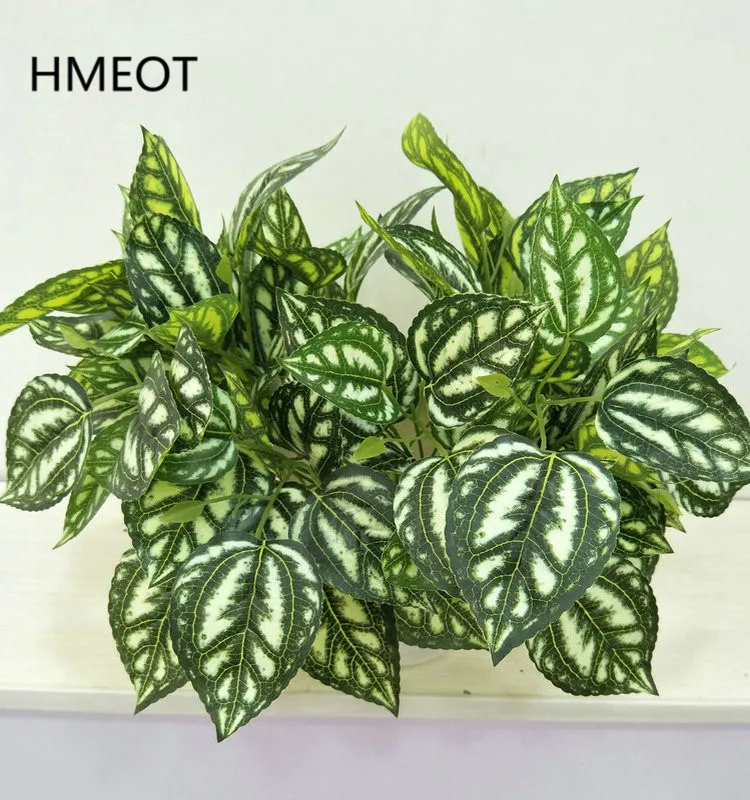 Plants Home Gardens Green Plant Home Plants Home Use Home Styles