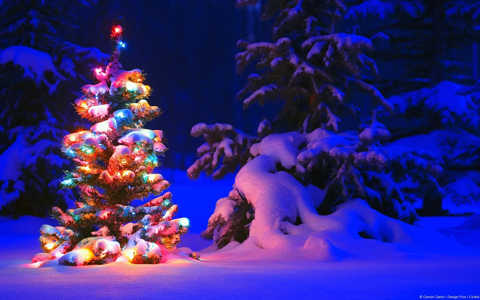 Снежное Рождественская елка ночной вид алмазов картина
