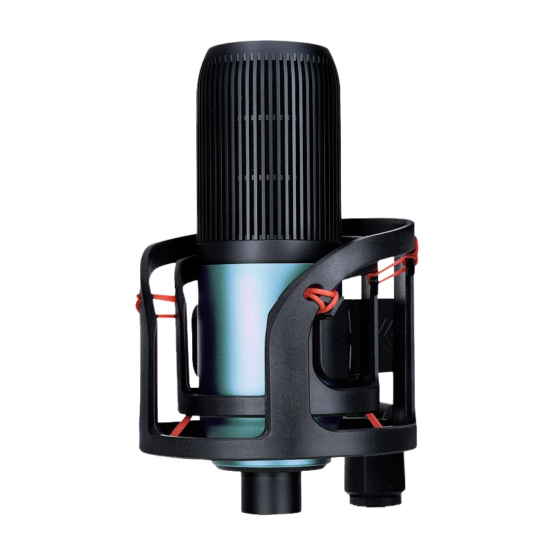 ERZHEN Computer Recording Metal Professional Condenser Microphone USB Stand Set Notebook PC YouTube Recording Vocals-K192GT