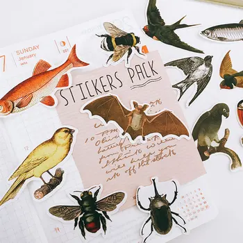 

14Pcs/Bag Vintage Bird Insect Fish Shark Animals Sticker DIY Craft Scrapbooking Album Journal Happy Planner Decorative Stickers