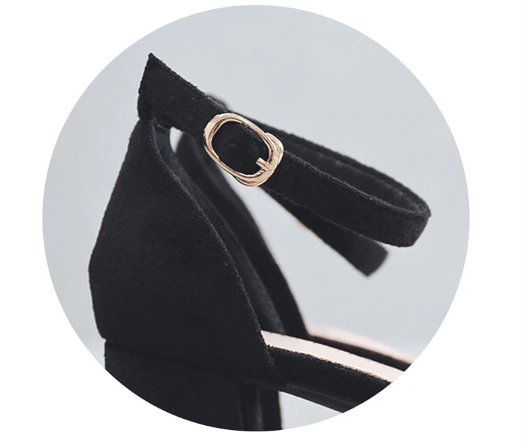 13618155152_1421840386