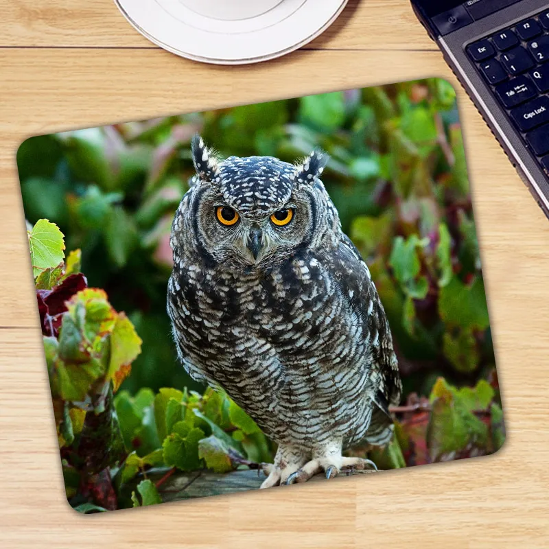 

Animal Owl Gaming Mouse Pad Gamer Mouse Mat Computer Mousepad Mause Pad Keyboard Desk Mice Mat