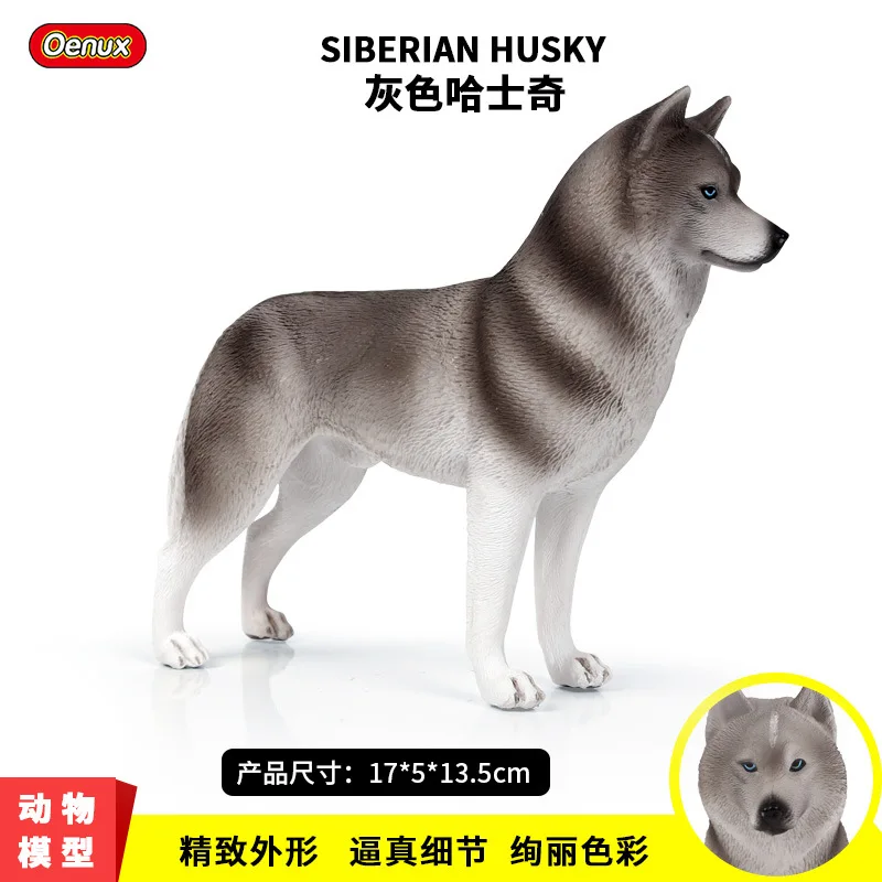 

Model Solid Animal Husky Model Siberian Husky Pet Dog CHILDREN'S Toy Decoration