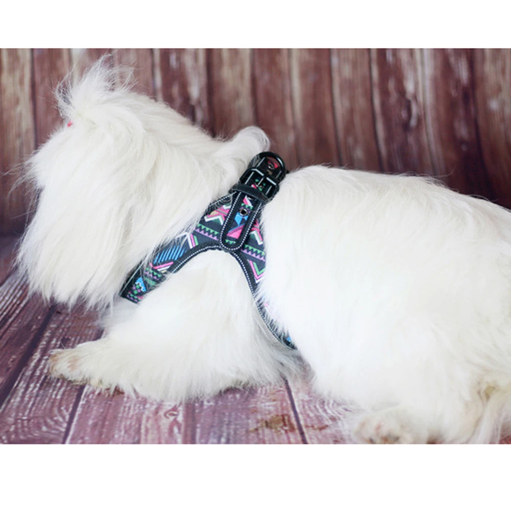 

Paddy Pet Harness and Leash Set One Set Reflective Dog Harness Leash Camouflage Pet Harness Vests for Small/Medium/Large Dogs