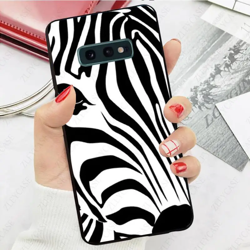 Animal Zebra black and white stripes