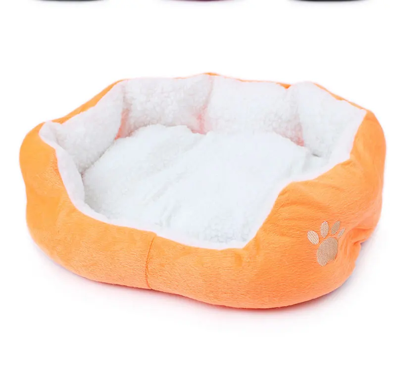 宠物用品_05