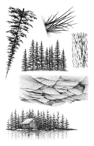 Tree Clear Stamp for Scrapbooking Transparent Silicone Rubber DIY Photo Album Decor 0797 | Дом и сад