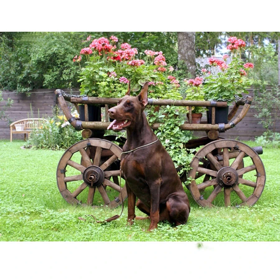 

Doberman Pinscher Gifts Diamond Embroidery 5d Diamond Painting Dog Cross-Stitch full square Wall Sticker Living Room Decor AA255