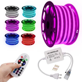 

Neon Light LED Strip 220V 110V RGB Remote Control Cold White Warm White Waterproof Flexible Neon Rope US EU UK AU Set Decoration