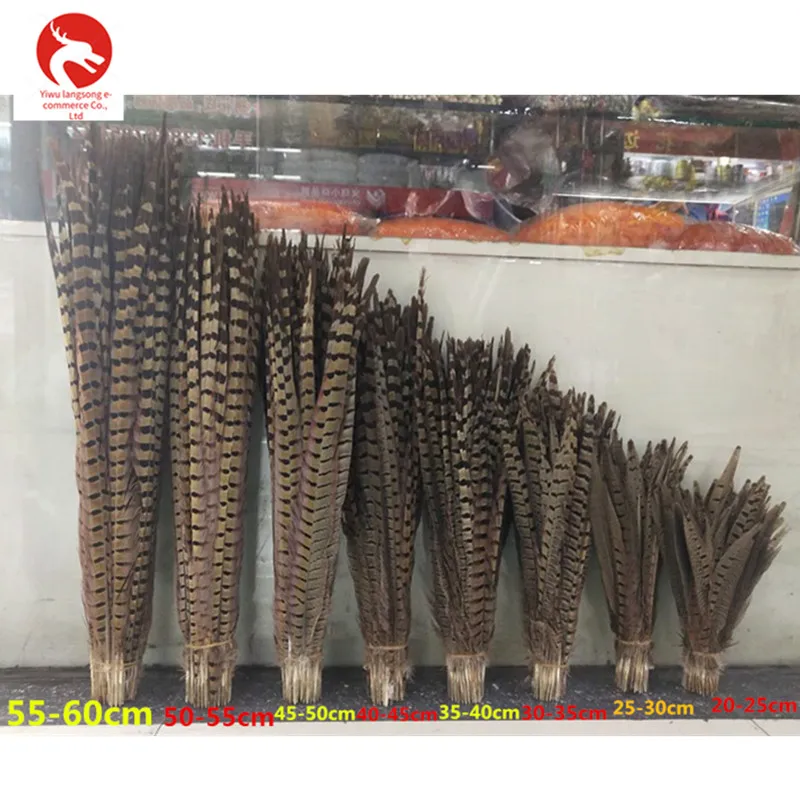 20pcs Beautiful Natural Pheasant Feathers 6-8" for Wedding Favor Trimmings Craft 
