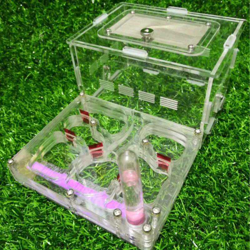 Dry and Wet Separation of Medium-sized Plane Ant Nest Separate Layer Ant Nest Pet Acrylic Ant Nest Insect Box