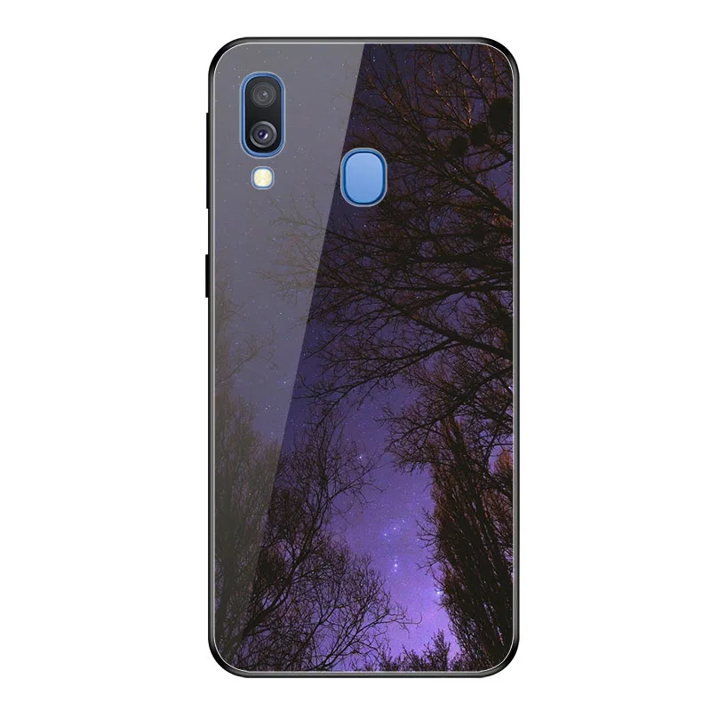 A011 Geruide для Coque samsung A20E чехол, закаленное стекло чехол cubierta para Для Funda samsung Galaxy A20E A202F A 20E A20E чехол - Цвет: A011