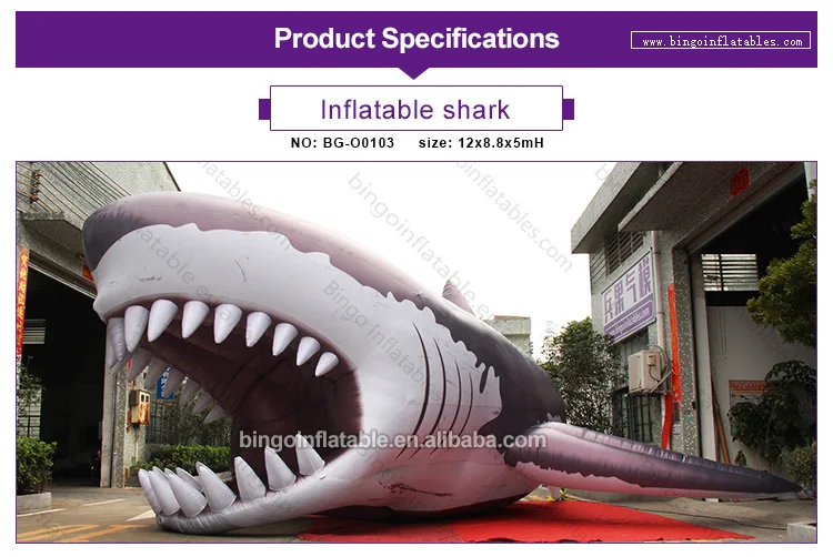 BG-O0103-Inflatable Shark_1