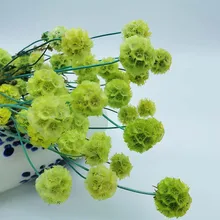 Природа свежая консервированная Pristimera cambodiana, цветок этернелл, рождественское свадебное украшение, Роза этернелль, 35 цветочных головок