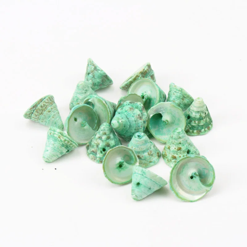 

Cut Green Conch Sea Shells for Jewelry Craft Decoration Half Shape Spiral Shell Cowry Cowrie Tribal 5pcs 30-55mm